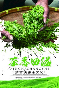 手工采摘嫩绿新鲜茶叶