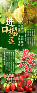 榴莲   草莓