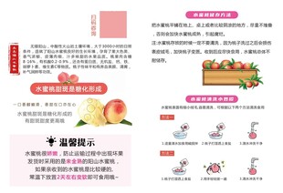 水蜜桃讲解书