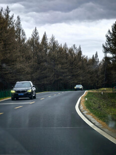 蜿蜒公路穿行于茂密树林