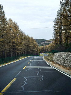 公路上行驶的汽车与树林