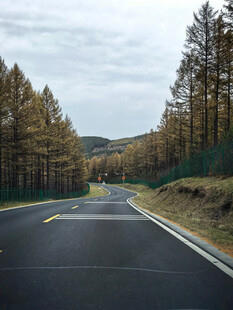 公路上行驶的汽车与树林