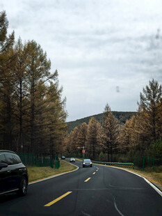 公路上行驶的汽车与树林