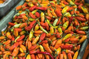 多彩辣椒美食展示