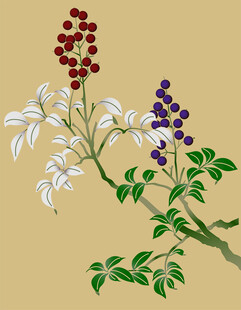 多彩浆果植物插画