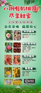 有机桃园 桃你欢心 展架 易拉
