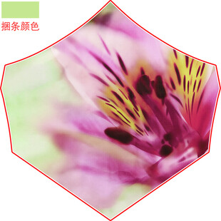 粉色花朵特写