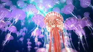 梦幻水母灯光艺术装置