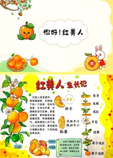 红美人生长记
