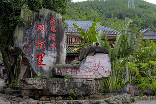 海南呀诺达景区石刻景观