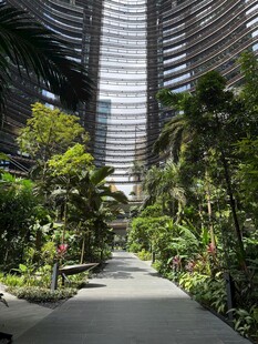 城市中的绿植景观步道
