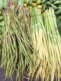 新鲜多样蔬菜整齐摆放