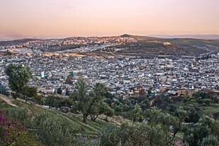 黄昏下的城市与葱郁山景