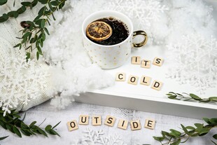 冬日 热饮 杯子 雪花 绿植 