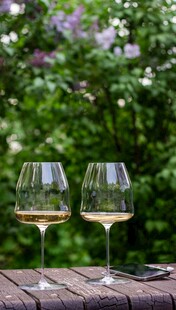 户外木桌上的两杯白葡萄酒