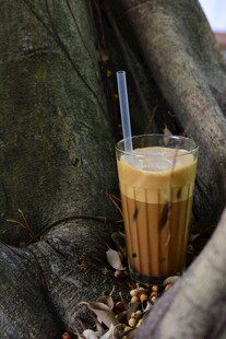树根旁的美味冰咖啡