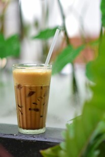 冰咖啡 饮品 杯子 吸管 植物