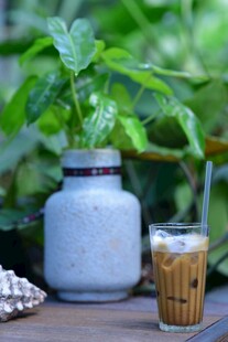 绿植旁的冰饮与清新摆件