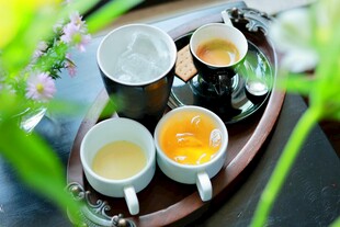 茶饮 杯子 饮品 托盘 绿植