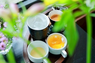 茶饮 杯子 饮品 茶具 花草 