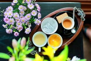 花茶 茶具 花卉 茶饮 装饰 