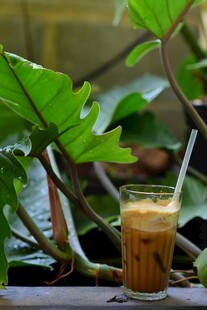 绿植旁的冰咖啡
