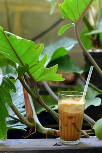 窗边绿植旁的美味冰咖啡