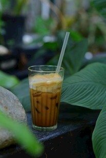 冰咖啡置于绿植环绕间