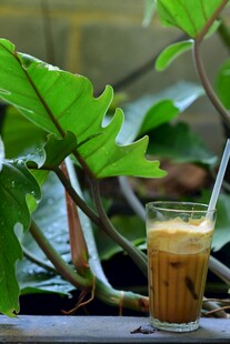 绿植旁的美味冰咖啡