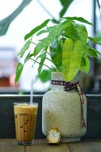 绿植 咖啡 杯子 花瓶 摆件 