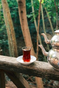 林间木上的热茶时光