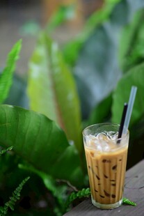 冰咖啡置于绿植背景前