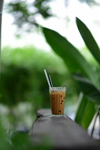 户外绿植旁的一杯冰饮