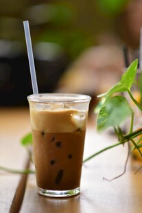 美味珍珠奶茶置于绿植旁