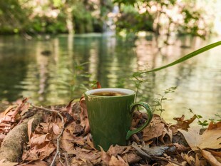 湖畔落叶上的绿色咖啡杯