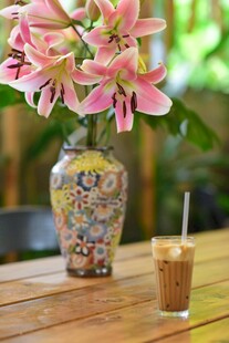 花瓶中绽放的粉色百合花