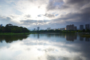 湖畔城市风光