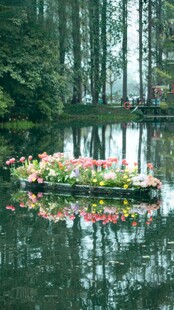 湖中小岛繁花似锦