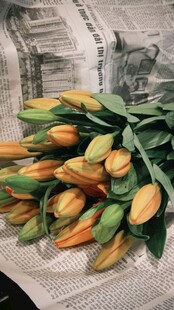 黄色郁金香花束特写