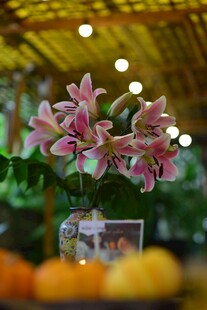 花瓶中的粉色百合花