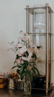 简约金属花架搭配绿植