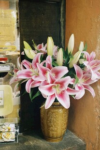 花瓶中的粉色百合花