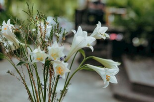 花瓶中的白色清新百合花