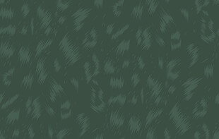 豹纹
