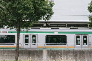 停靠中的绿色列车