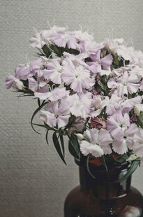 花瓶中的淡紫色花卉