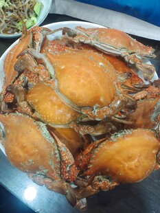 美味大闸蟹