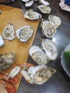 新鲜海鲜牡蛎等摆放在台