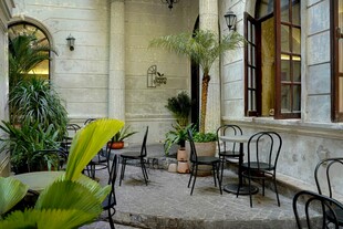 庭院休闲桌椅绿植景致