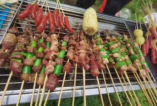 户外美味烤串大集合